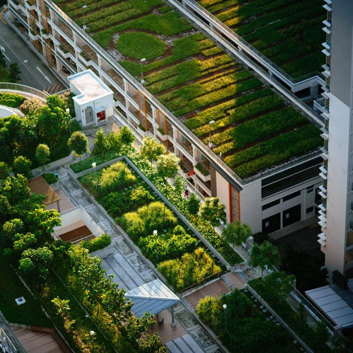 Устройство эксплуатируемых кровель